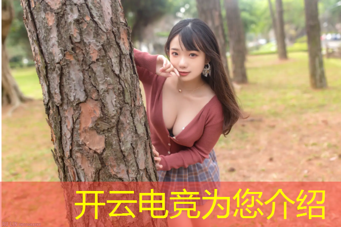 开云电竞为您介绍：英雄联盟电竞赛事招商手册