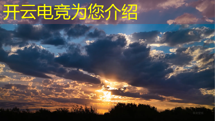 开云电竞为您介绍：pel电竞赛事选手有哪些