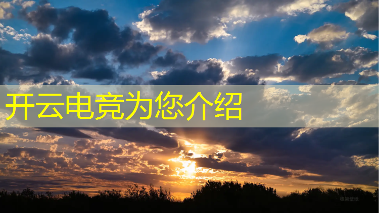 开云电竞为您介绍：职业电竞赛有哪些赛事