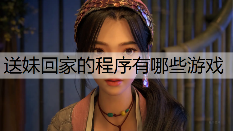 送妹回家的程序有哪些游戏
